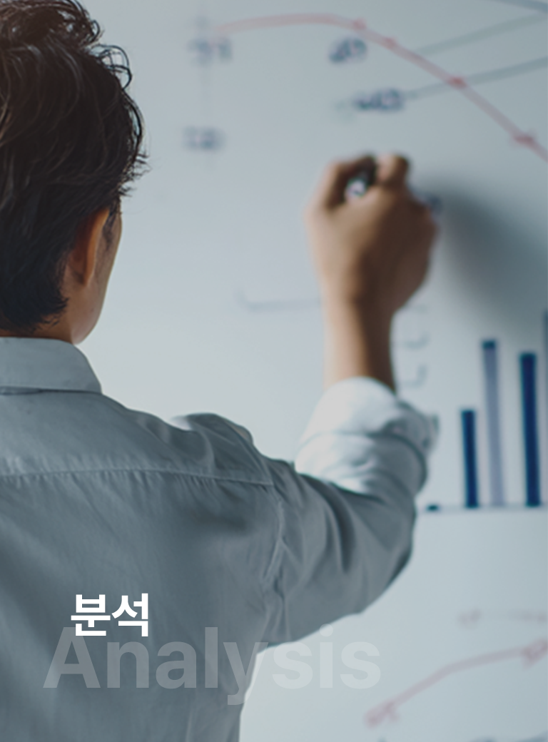 분석 전문가 그룹