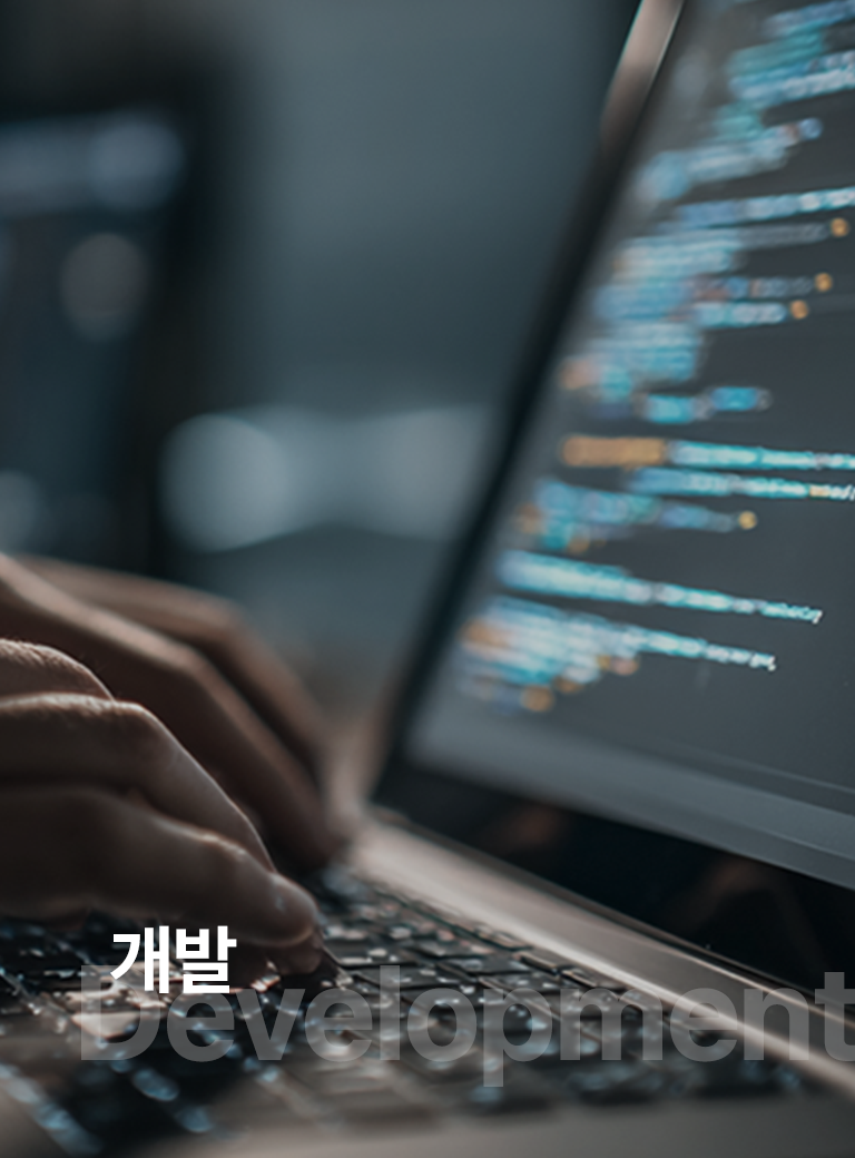 개발 전문가 그룹